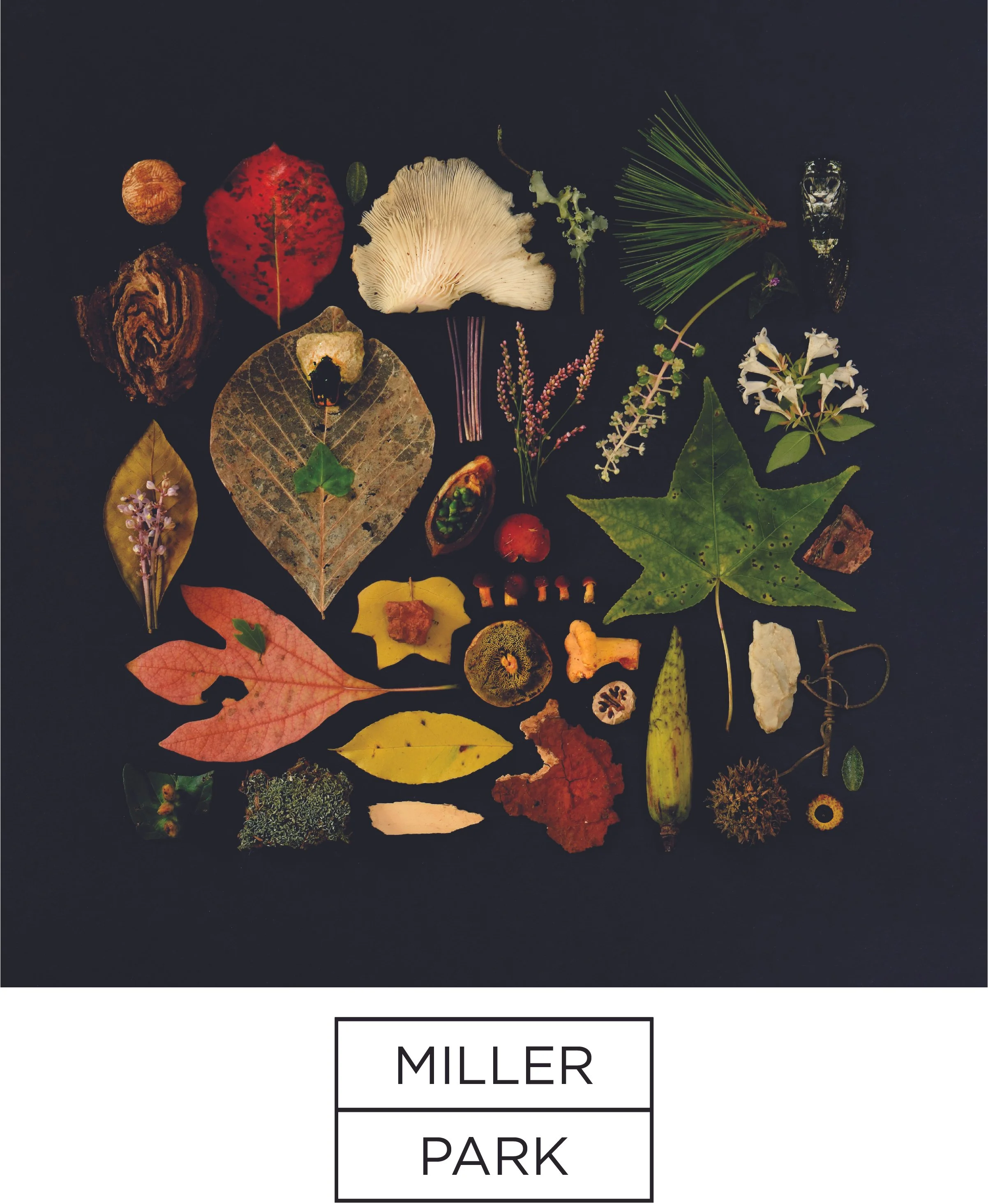 値下げ！arthur.s miller manufacturing co アート　絵画 1940s Abstract Painting by Art Miller – The Window